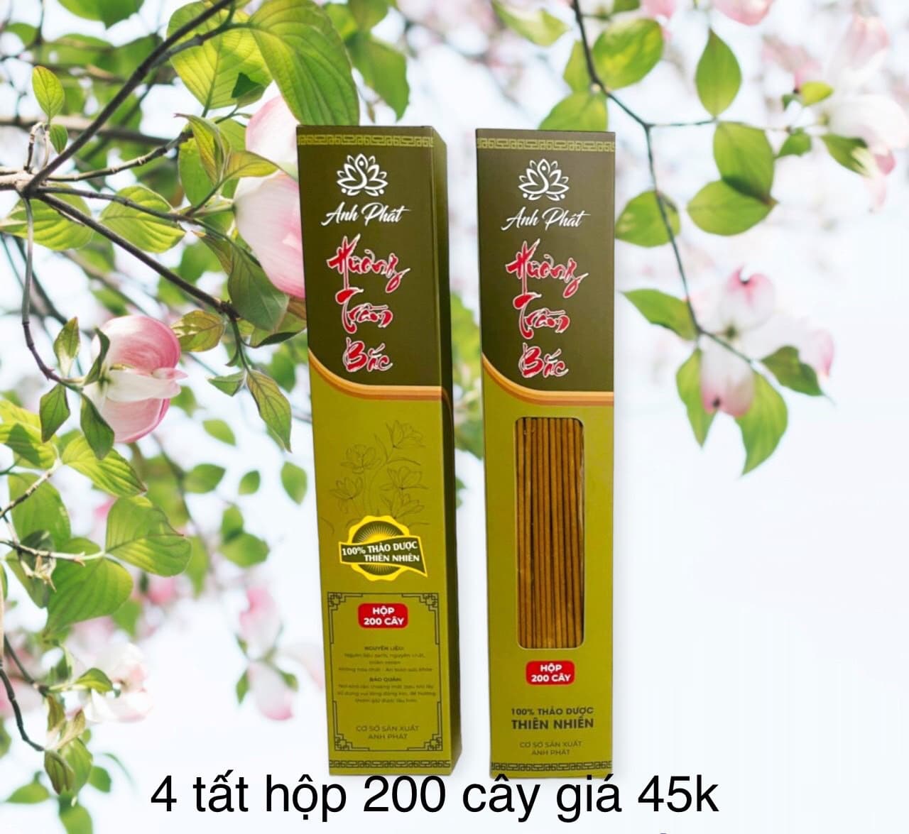 hộp 200 cây 4 tất 