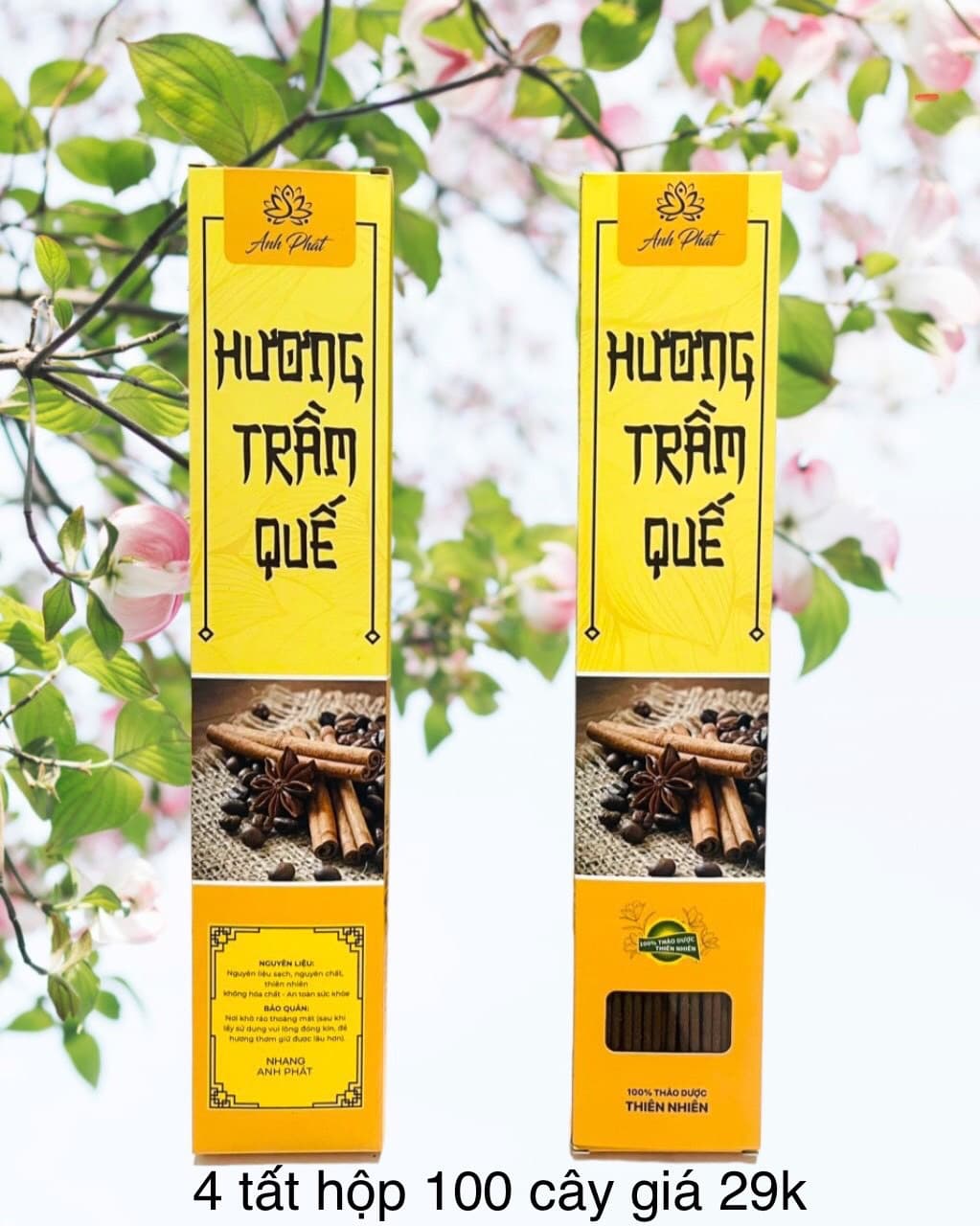 hộp 100 cây 4 tất