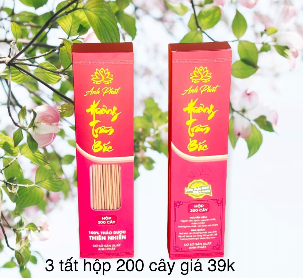 nhang trầm bắc 200 cây