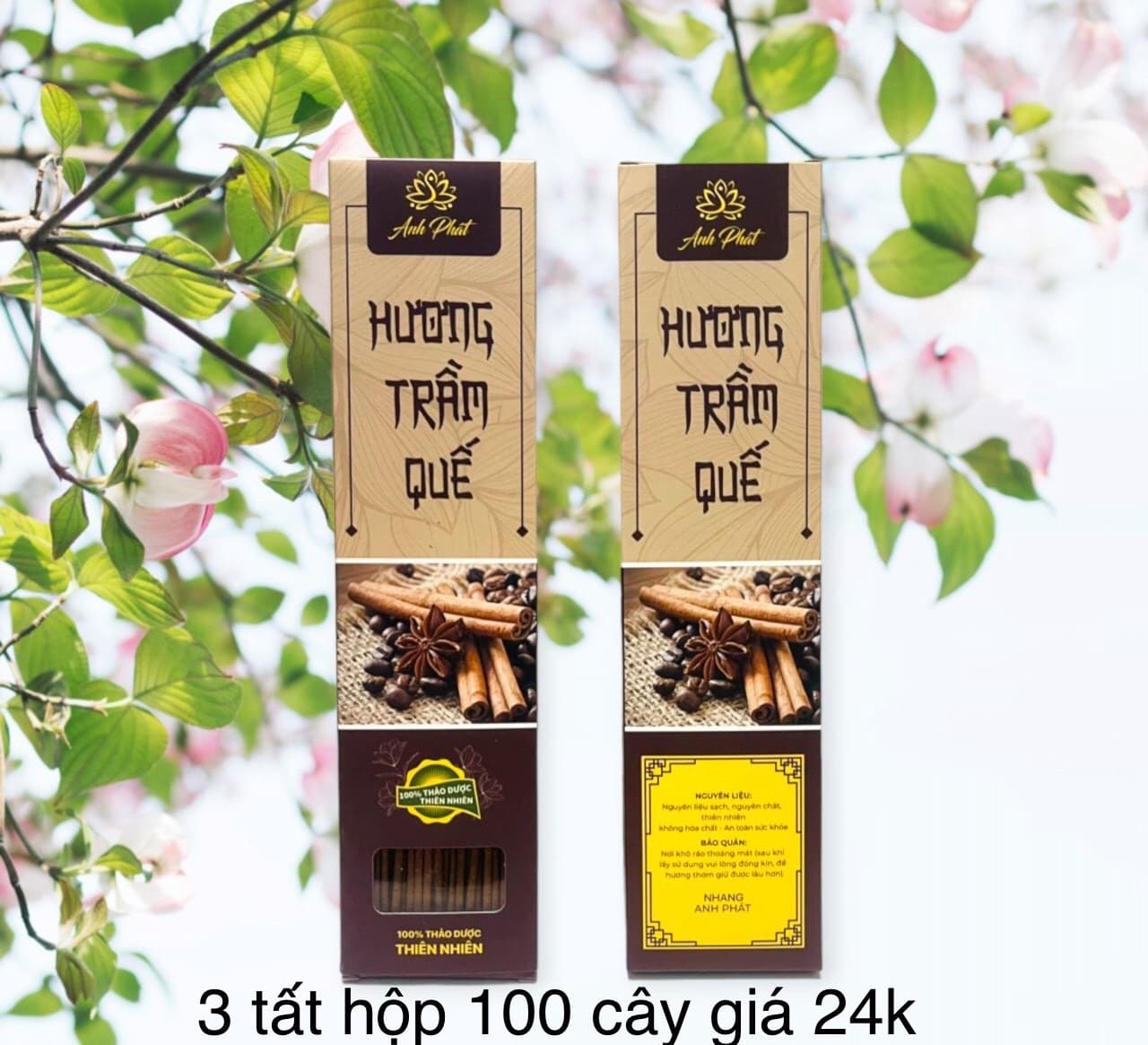 nhang quế vỏ 100 cây